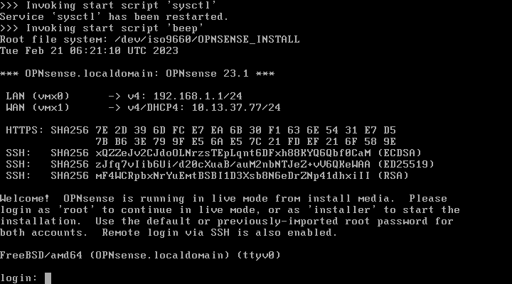 OPNsense live environment console